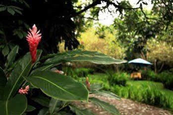 Casa Comalli & Spa Comala Exterior foto
